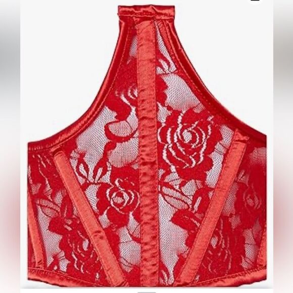 NWT Daisy corsets Lavish Red Sheer Lace Underwire Waist Cincher Corset - Picture 3 of 15
